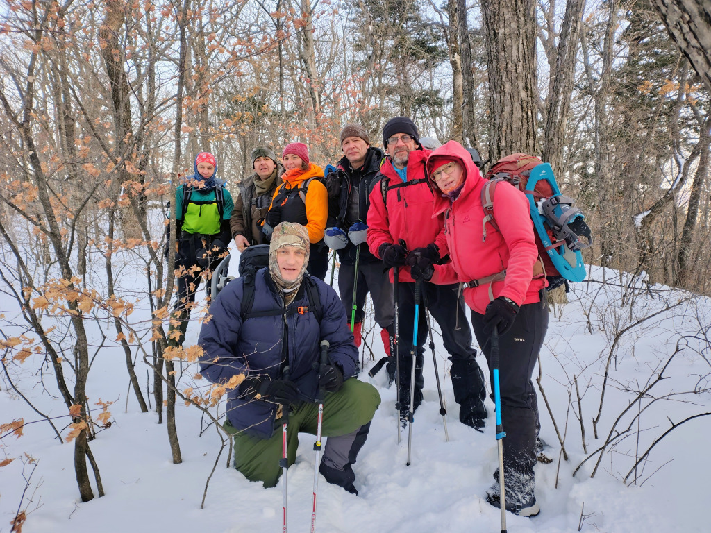 image-20260302215347898